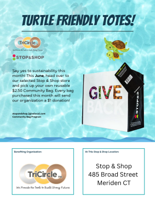 S&SBags-Flyer